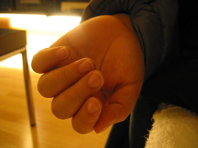 img006.jpg