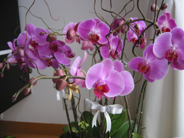img004.jpg