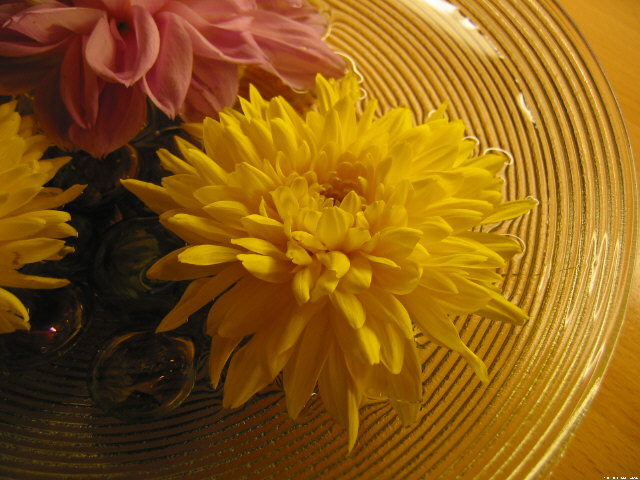 img009.jpg