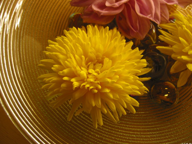 img010.jpg