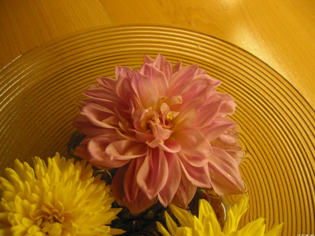 img011.jpg