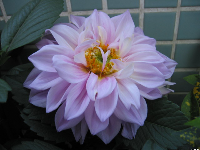 img022.jpg