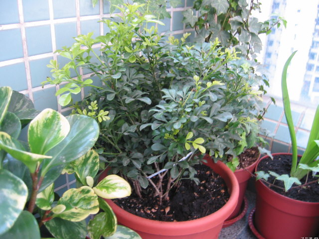 img023.jpg