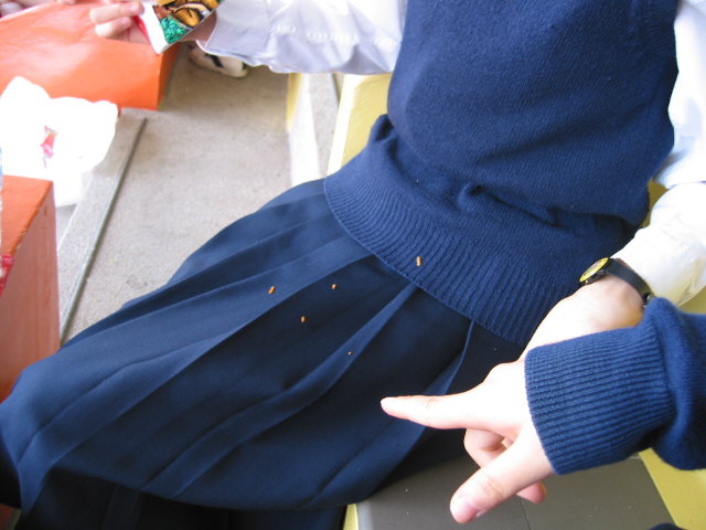 img-025.jpg