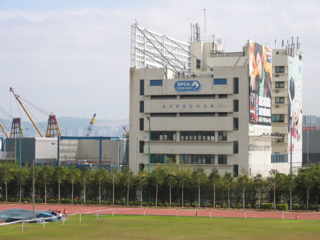 img-027.jpg