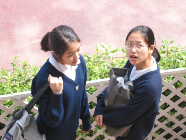 img-032.jpg
