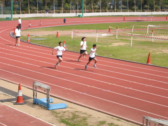 img-035.jpg