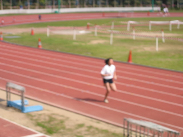 img-036.jpg